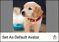 setting the default avatar
